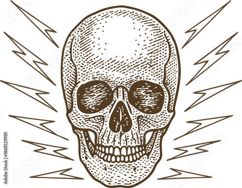 detailed vintage human skull illustration with lightning bolts around head, spooky and anatomical design