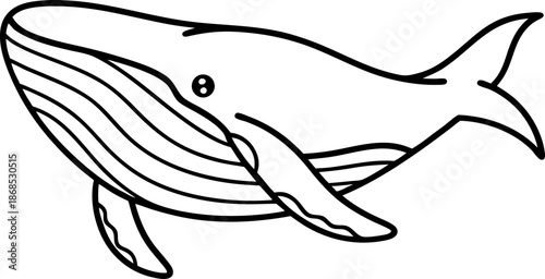 whale outline drawing swimming in ocean sea creature marine animal wildlife illustration