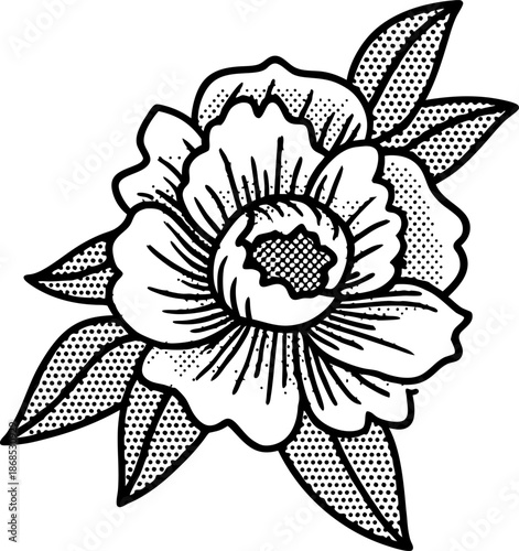 Black and white vintage floral illustration with detailed petals and leaves, botanical design element