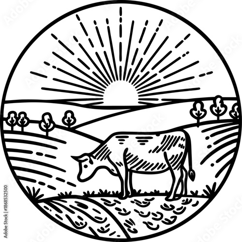 Cow grazing in sunrise on rural farmland with rolling hills and trees silhouette