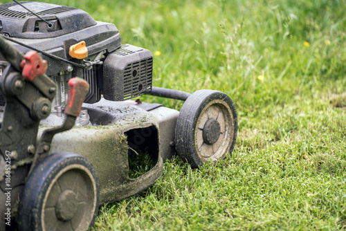 Gasoline lawn mower on green grass
