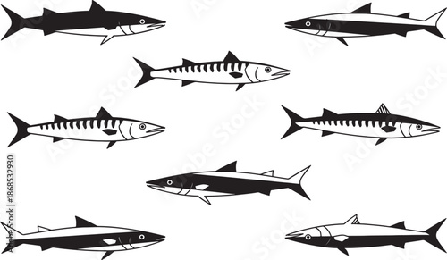 Collection of various shark species swimming in side view illustration