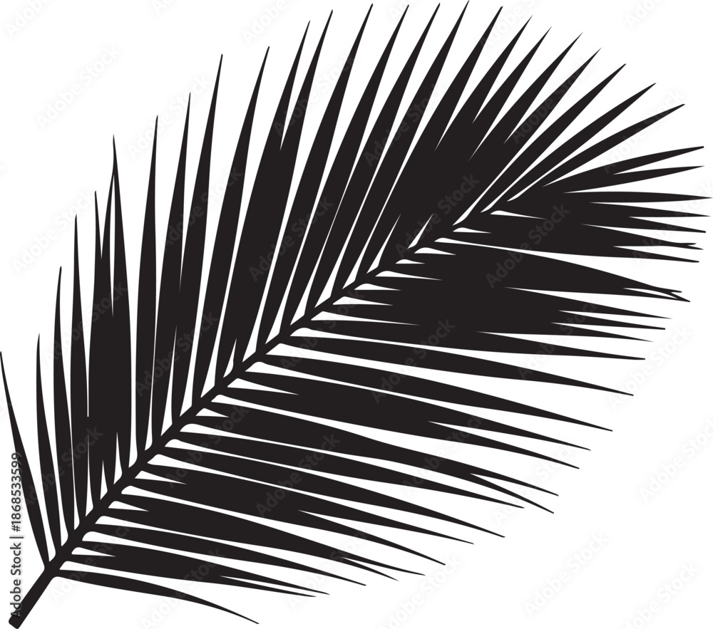 Obraz premium Palm leaf silhouette