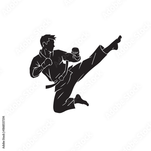 Martial Arts Kick Silhouette of Man Performing Dynamic Jump