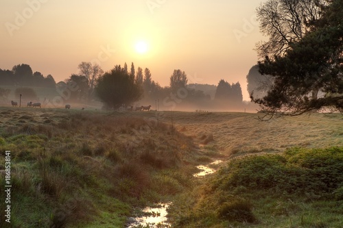 Misty morning in the English countryside
