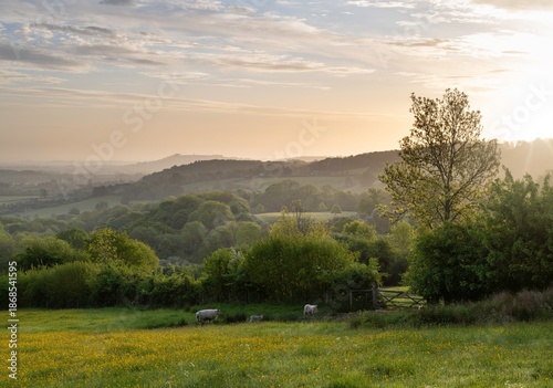 North Cotswolds at dawn, England