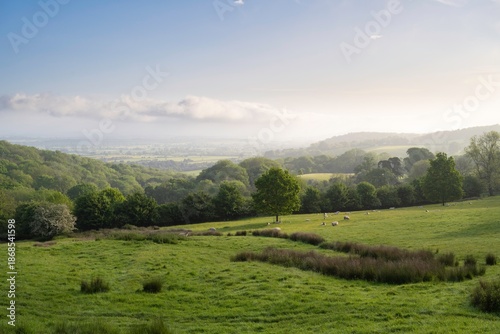 North Cotswolds at dawn, England