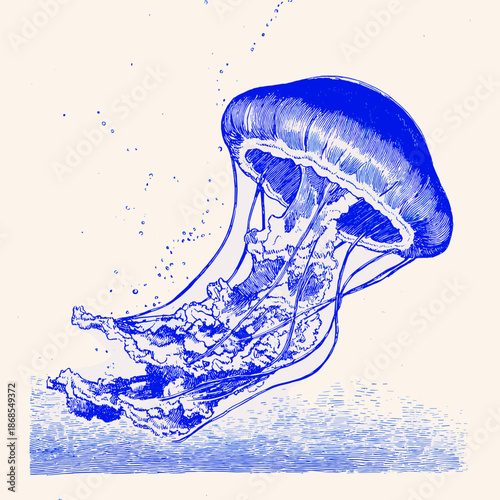 Blue Ink Illustration of a Jellyfish