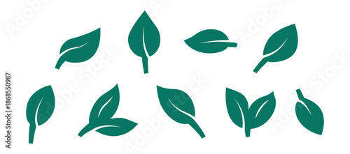 Green Leaf Vector Icon Set on Isolated Background. Vegetarian Tree Plant Eco Leaves Logo. Vector Illustration