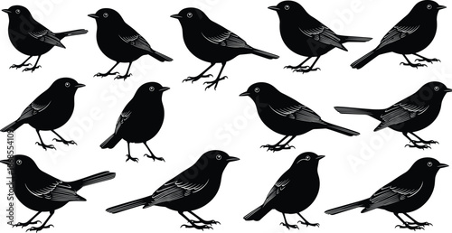 Black bird silhouette collection, multiple perched poses minimalist monochrome vector illustration set for wildlife design, nature icons, tattoo, logo branding