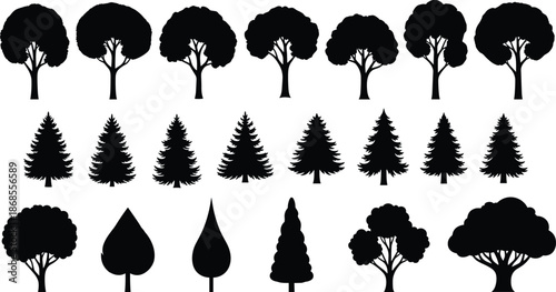 Tree silhouette collection, deciduous and conifer forest shapes monochrome vector illustration set for landscape design, nature icons, ecology branding elements