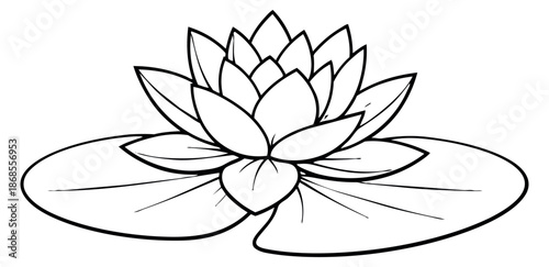 Line art illustration of lotus flower depicting a blooming water plant with leaves for botanical design