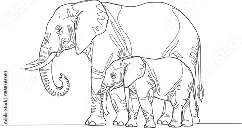 Beautiful black and white illustration of mother elephant and baby elephant standing together