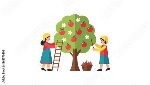 Harvesting apples: people picking fruits from tree with ladders and baskets