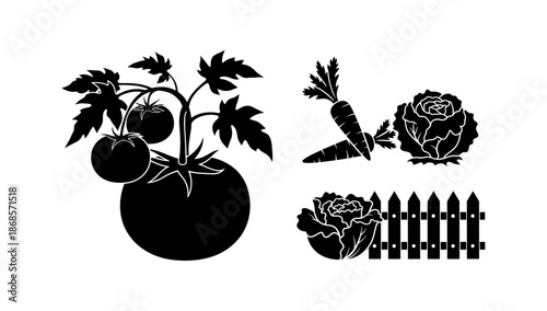 Silhouette vegetable garden: tomato, carrot, cabbage, fence design elements
