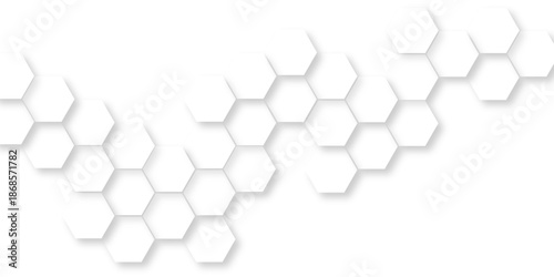 Abstract white 3d hexagonal surface with geometric wave line, light white hexagonal tile pattern, abstract white honeycomb structure featuring organic geometric patterns creates a modern design.