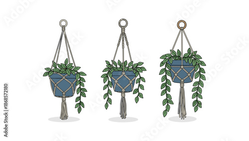 Trendy hanging macrame planters with lush greenery