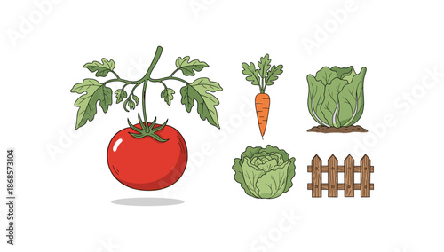 Garden vegetables: tomato, carrot, lettuce with wooden fence
