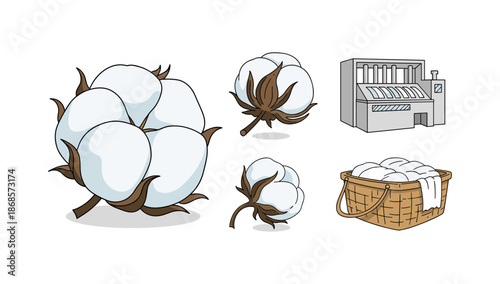 Cotton plant and industry icons: agriculture and textile cartoon collection