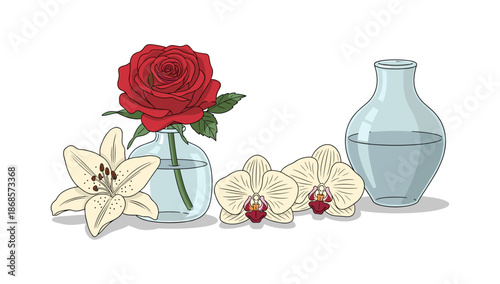 Elegant floral arrangement with rose, lily, and orchid in glass vases on white background