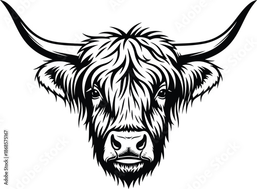 Black and white highland cow head illustration