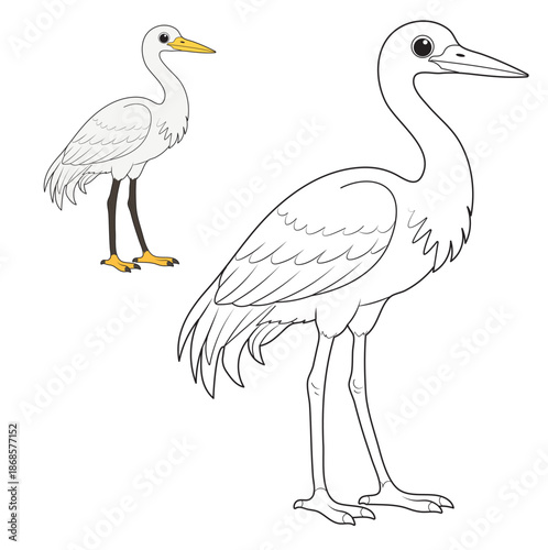 Egret Coloring Page for Kids. Tall Bird Line Art Illustration