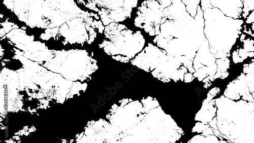 Abstract black and white pattern resembling cracked earth or marble texture