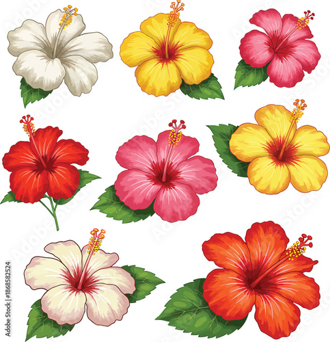 Collection of tropical hibiscus blossoms with green leaves in flat vector style.