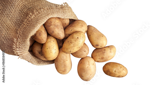 sack of potatoes