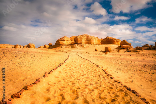 Sand and rock desert landscape with the path, Wadi Hitan, Egypt
