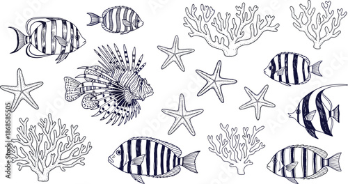 Lionfish, striped fish, starfish, coral reef, marine life, underwater scene, ocean biodiversity, sea creatures, aquatic nature, black and white illustration