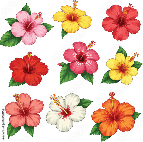 Beautiful hibiscus flower collection with colorful tropical blossoms