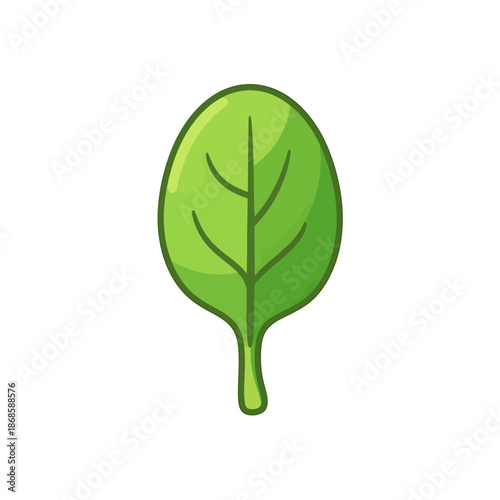 Simple spinach leaf vector illustration on white background