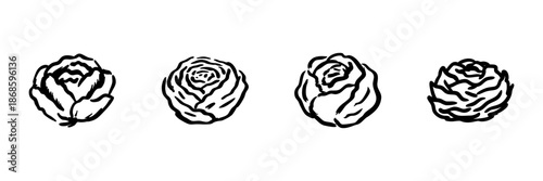 Cabbage Heads In Hand Drawn Style Set. Fresh Produce, Organic Farming, Healthy Eating Doodle Sketch Collection. Vegetable Illustration. Isolated Vector Illustration