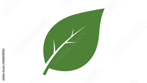 Single Vivid Green Leaf Icon, Symbolizing Nature and Ecology, isolated white background.