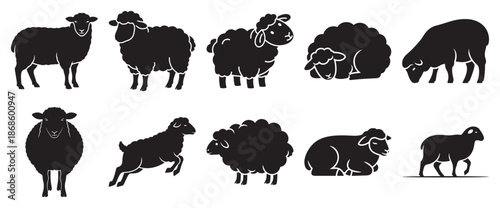 Silhouette sheep animal icon vector set with farm livestock wool and rural symbols