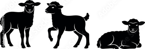 Three black silhouettes of lambs in different poses isolated on white background