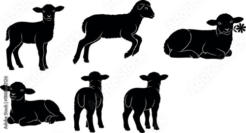 Black silhouettes of lambs in various poses isolated on white background