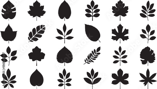Assortment of 24 black silhouette leaf shapes with varied designs and outlines on a white background