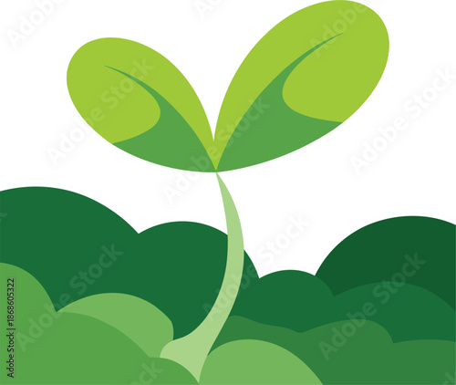 Green Sprout Growing with Lush Foliage and White Background Keywords: sprout, plant, growth