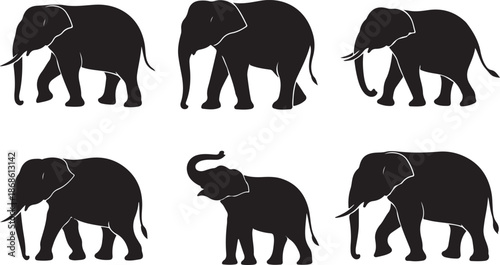 Elephant silhouettes