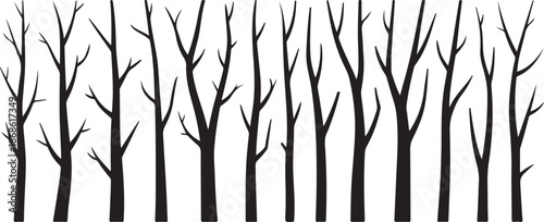 Vector black silhouette of a bare tree