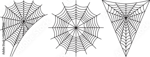 Vector Set of spider web on white