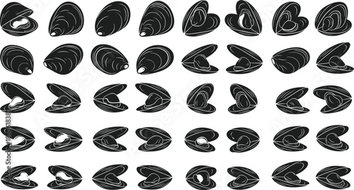 Clam shell motion, black and white, marine illustration, underwater sequence, shell animation, sea creature, nature drawing, mollusk study, ocean design, contour art, stylized shell