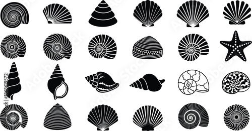 Sea shell silhouettes, marine life, black and white, ocean elements, starfish icon, mollusk shapes, coastal design, underwater illustration, nature pattern, shell collection, beach theme