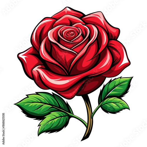 valentine red rose on white background