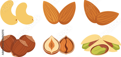 Nut icon set, cartoon-style cashew almond hazelnut pistachio illustrations, flat vector food design, culinary and nutrition theme