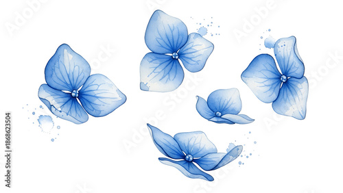 Delicate blue flowers floating gently in the air against a white background