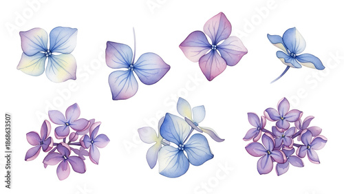 A collection of purple and blue flowers and butterflies on a white background viewed from directly above