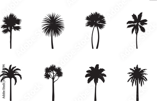 Black palm trees set isolated on white background. Palm silhouettes. Design of palm trees for posters, banners and promotional items. Vector illustration